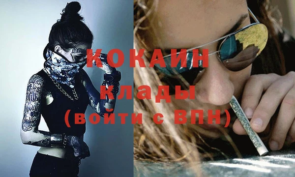 ешки Новодвинск
