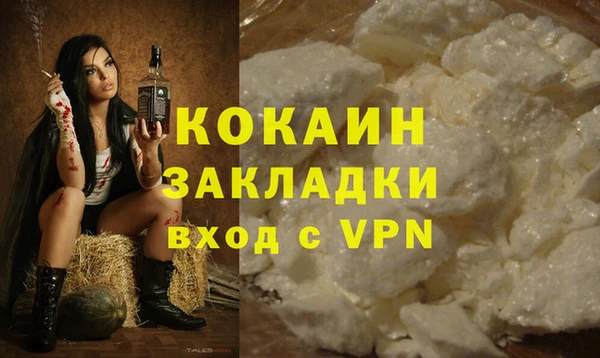 ешки Новодвинск