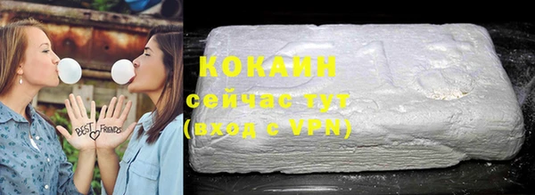 ешки Новодвинск