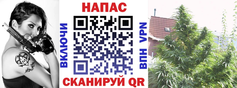 KRAKEN сайт  Райчихинск  Бошки Шишки семена 